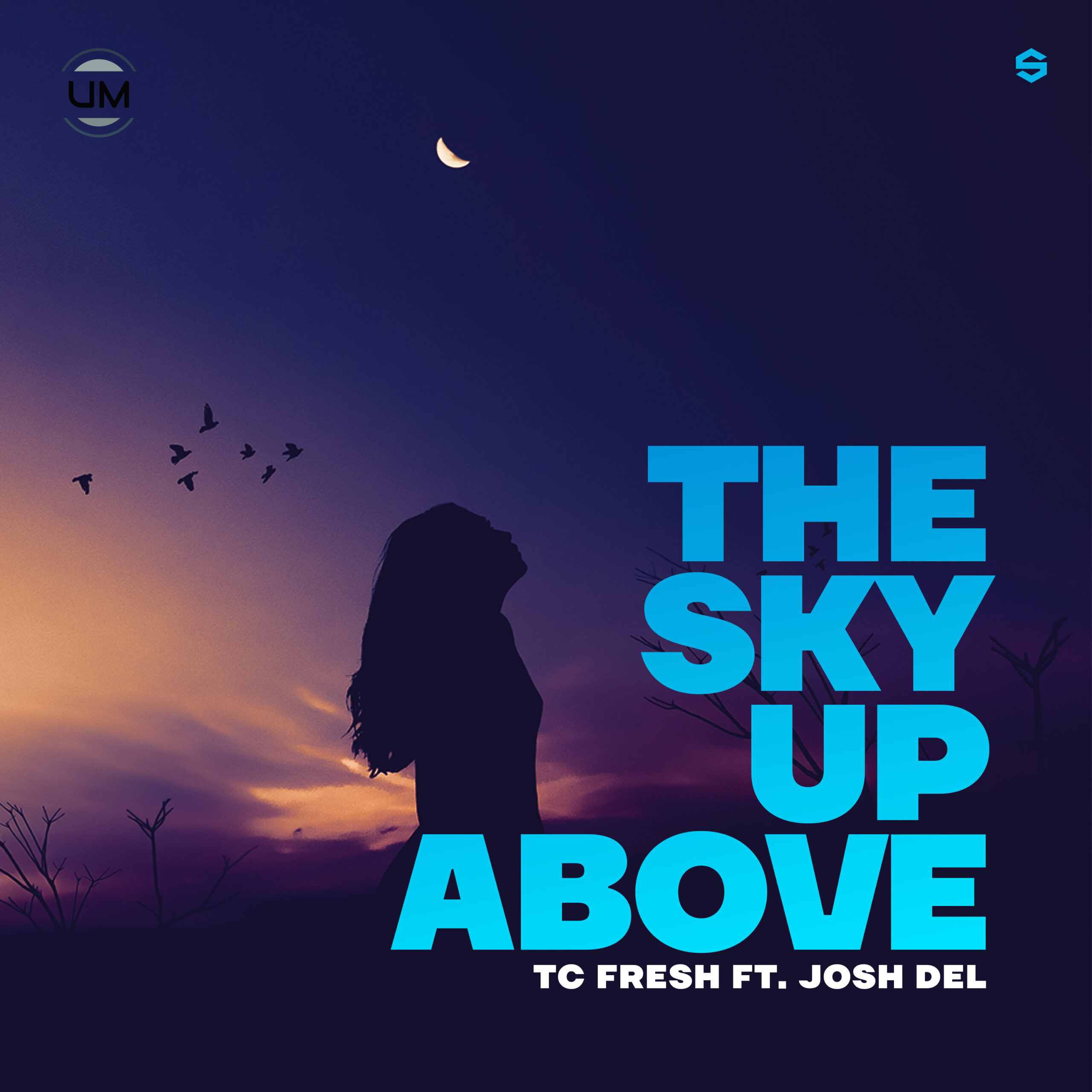 TC Fresh ft. Josh Del – The Sky Up Above