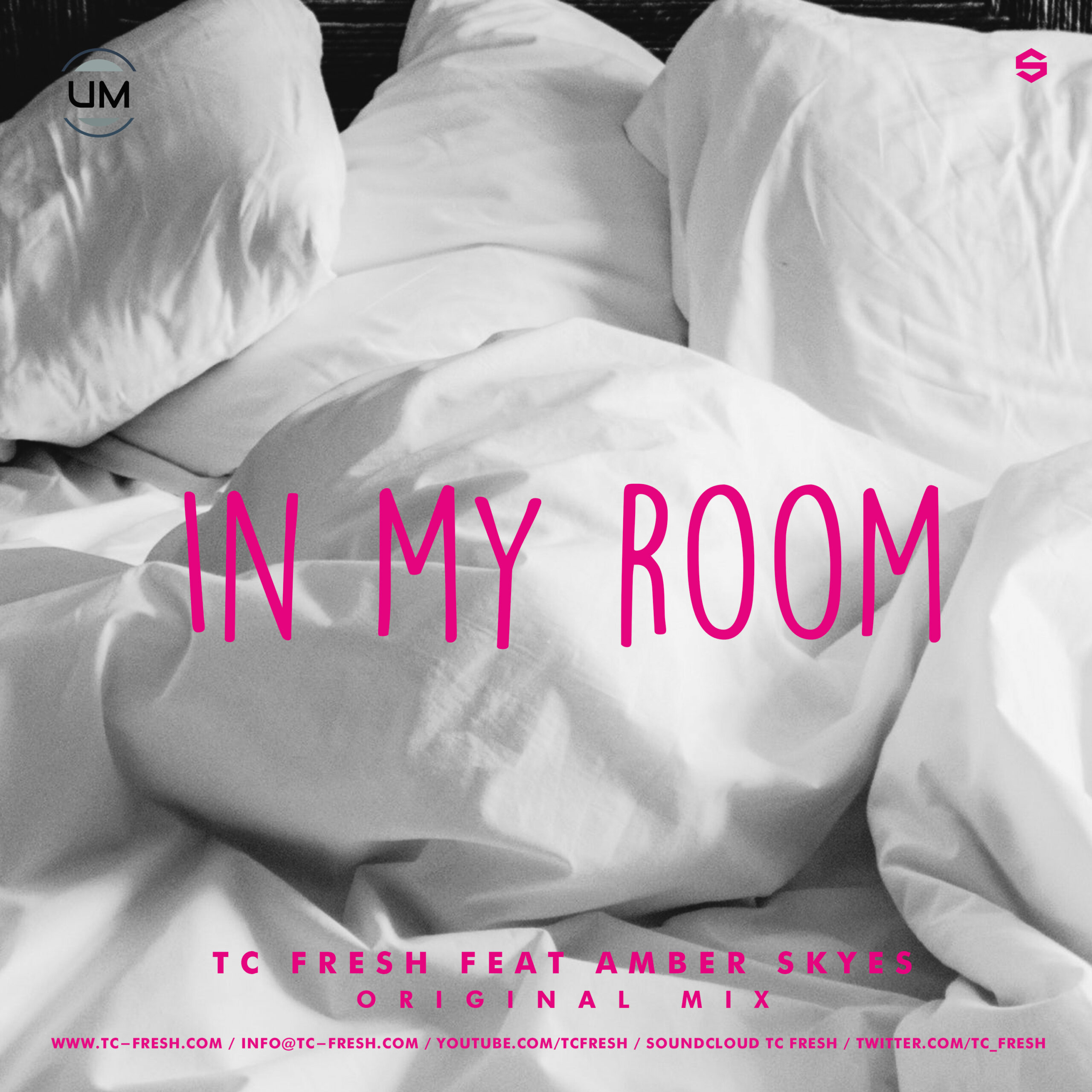 TC Fresh ft. Amber Skyes – In My Room